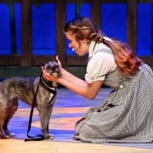 BWW Review: WIZARD OF OZ at Theatre In The Park