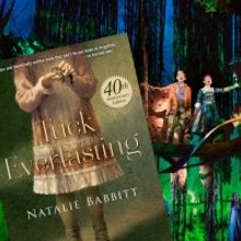 11 Books That Were Adapted Into Musicals