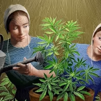 New Canadian Musical GROW to Release Music Video for 'Grow'
