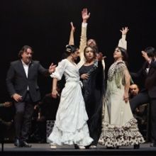 Flamenco Festival Celebrates 20 Years In NYC With The Largest Flamenco Offering Ever…