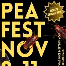 Breaking & Entering Theatre Collective To Present PEA FEST 2023