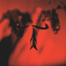 Maxim Mental (Solo Project of Say Anything's Max Bemis) Shares New Track 'Grace Beyon