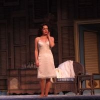 Video: Check Out Highlights From CAT ON A HOT TIN ROOF at Walnut St. Theatre