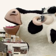 Video: Watch an All New Trailer For JACK AND THE BEANSTALK at Broadway Theatre, Catfo