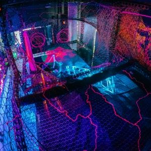 INTER Announces New Summer Treenet Exhibit: The INTERnet