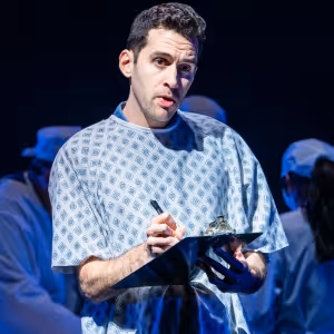 Review Roundup: A NEW BRAIN at Barrington Stage Company