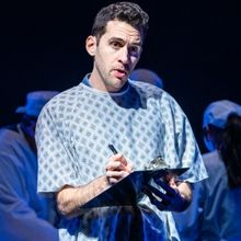 Review Roundup: A NEW BRAIN at Barrington Stage Company