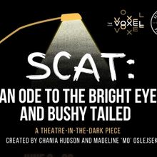 SCAT: AN ODE TO THE BRIGHT EYED AND BUSHY TAILED to be Presented at The Voxel This Mo