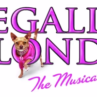NTPA Repertory Announces All-Female Creative Team For LEGALLY BLONDE