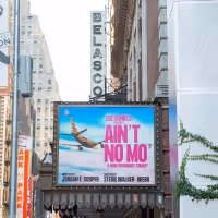 Video: On the Opening Night Red Carpet at AIN'T NO MO'