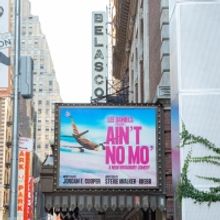 Video: On the Opening Night Red Carpet at AIN'T NO MO'