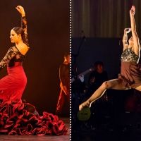 MADE IN CHICAGO Dance Series Kicks Off With Ensemble Español And Cerqua Rivera