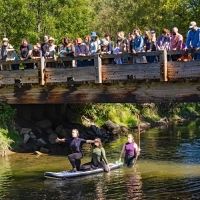 Rochester Fringe Announces Site Specific Shows