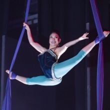 BWW Review: CIRQUE BESERK!, Garrick Theatre