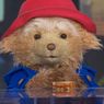 Video: PADDINGTON Visits GOOD MORNING AMERICA for Broadway Announcement