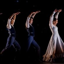 BWW Review: BALLET FLAMENCO DE ANDALUCIA at Grande Théâtre