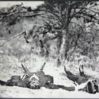 Thinkery & Verse present THAT'S HOW THE STORY GOES: A Hall-Mills Murders PODCAST