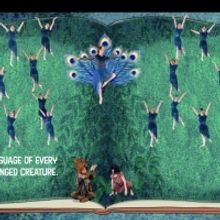 Gotta Dance NJ Presents: JUNGLE JUMP INTO THE WILD VIRTUAL DANCE CONCERT