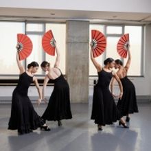 Ballet Hispánico School Of Dance To Participate In Kids Week At Intrepid Museum Interview