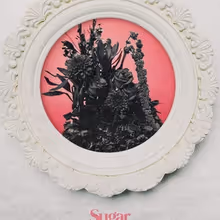 Mayday Parade Completes Three-Part Album Trilogy With Release of 'Sugar'