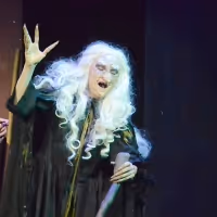 BWW Review: Sondheim's INTO THE WOODS is Wowing Audiences at Palm Canyon Theatre.