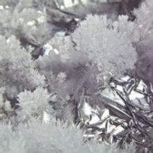 Supersense: Festival Of The Ecstatic Announces International SUPERDRONE Line-up