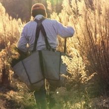 A THOUSAND PINES Adds Film Festival Dates Before PBS Broadcast On Independent Lens