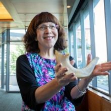 Museum Of Jewish Heritage In NYC Unveils Shofar That Survived Auschwitz