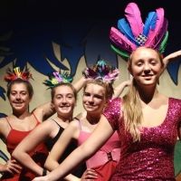 Studio Americana To Stage Two Family-Friendly Musicals In Plymouth