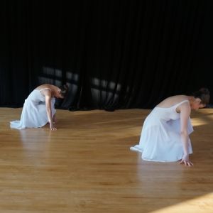 Marblehead School of Ballet Presents BALLET ON THE BIG SCREEN Series This Week Interview