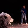 THE BEAR, EVERY TIME to be Presented Off-Broadway at SoHo Playhouse