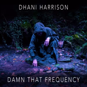 Dhani Harrison Returns With New Single 'Damn That Frequency'