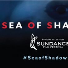 SEA OF SHADOWS Premieres on National Geographic Nov. 9
