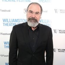 Mandy Patinkin, Maryann Plunkett, & More Stage Stars Join THE SPACE WITHIN Audio Seri