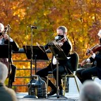 Members Of Orpheus Chamber Orchestra Return to A LOT OF STRINGS on June 6