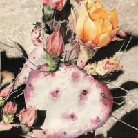Richardson Civic Art Society Presents The Members Show In The Green Mezzanine-gallery
