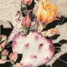 Richardson Civic Art Society Presents The Members Show
In The Green Mezzanine-galler