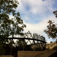 California Shakespeare Theater Announces Cancellation Of 2020 Season