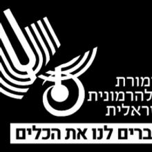 Israel Philharmonic Orchestra Protests Closure of Theatres With Concert Outside Prime