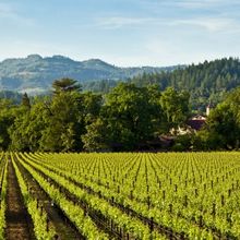 Exceptional Valentine's Day Wines-Feel the Love