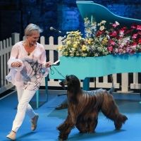 BWW Review: LET'S BE FRIENDS FUREVER at The Good Room