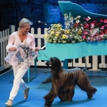 BWW Review: LET'S BE FRIENDS FUREVER at The Good Room