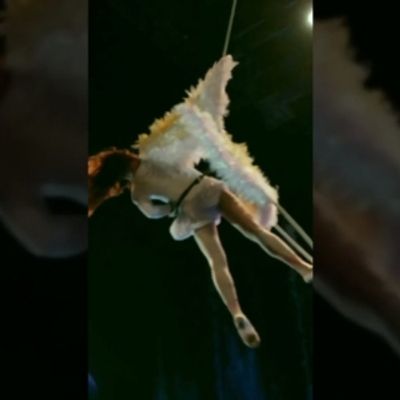 VIDEO: Moby Dick - A Theatrical Aerial Adventure Like Never Before