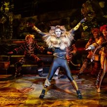 CATS Celebrates 40th Anniversary in Australia