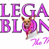 Ali Funkhouser, Ryan Vona & More to Star in LEGALLY BLONDE at Franklin Performing…