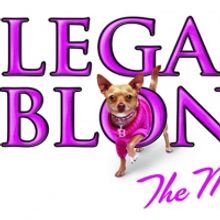 Ali Funkhouser, Ryan Vona & More to Star in LEGALLY BLONDE at Franklin Performing Art