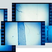 Anita Hill-Led Hollywood Commission Releases New Report on Workplace Bullying