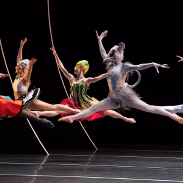 Review: THE HARD NUT Brings Delightful Dance and Debauchery to BAM’s Stage This Hol Photo