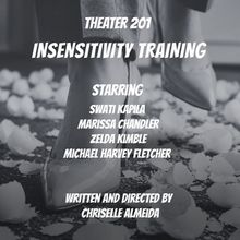 INSENSITIVITY TRAINING to Debut as Podcast Play From Open-Door Playhouse