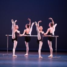 Miami City Ballet Stages Family-friendly Event In Pompano Beach